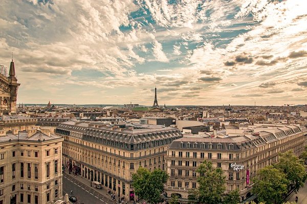 Maison rignault à paris : l'expertise au service de vos projets